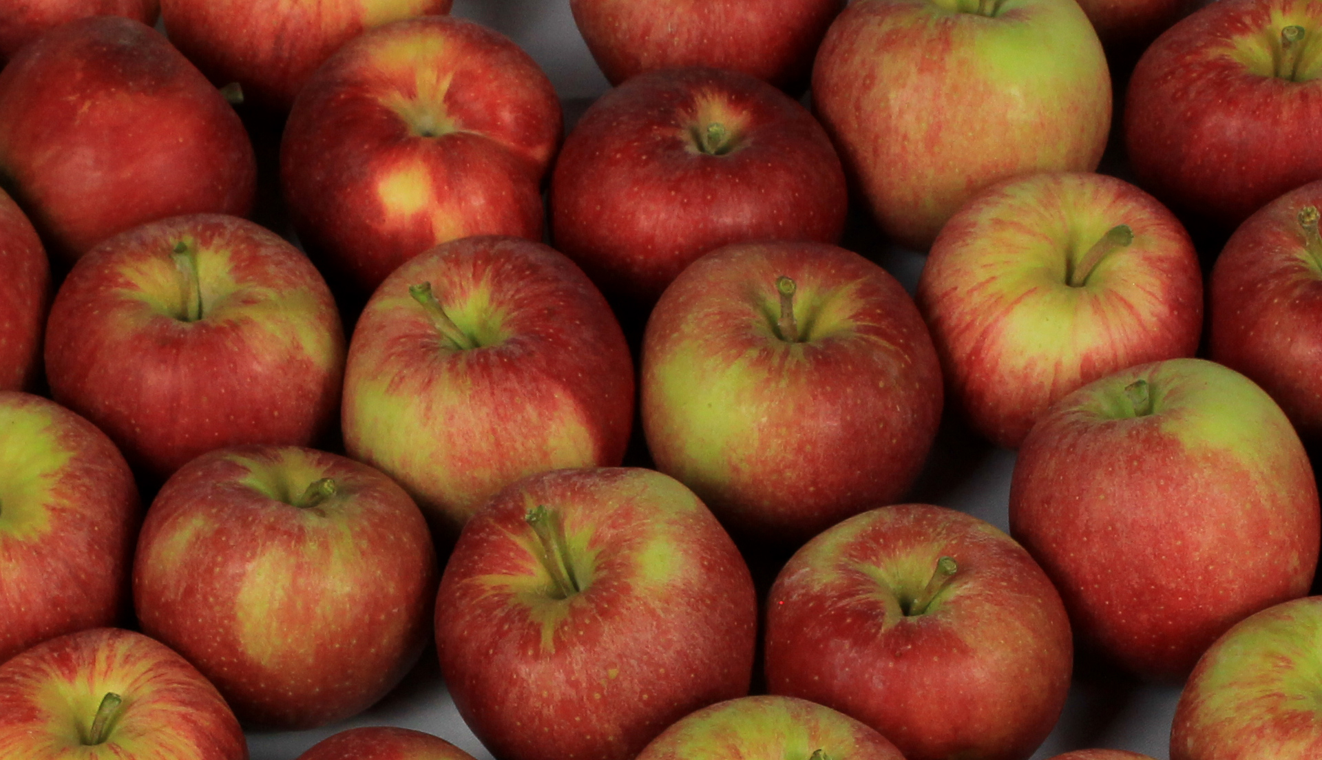 manzana4