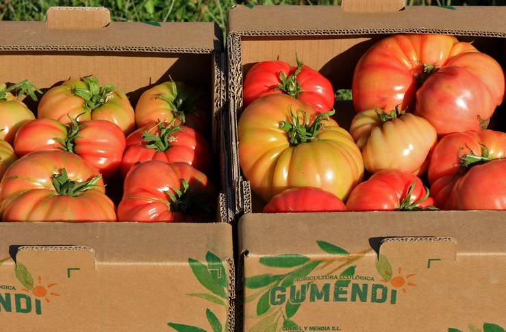 fresco-portada img tomates gumendi
